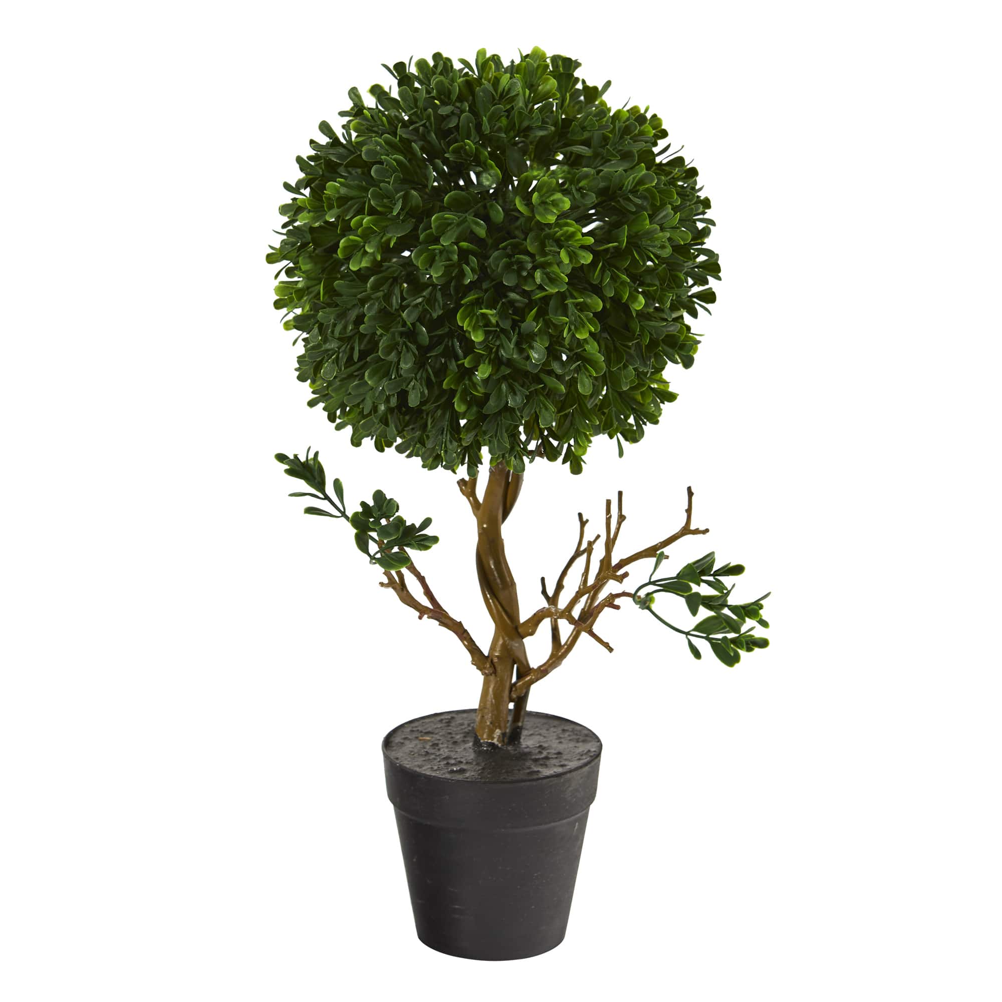 15" Potted Tabletop Boxwood Topiary Tree